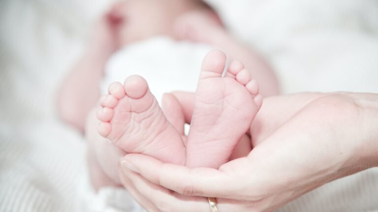 A crise da fertilidade chegou e vai alterar a economia mundial de forma permanente A crise da fertilidade chegou e vai alterar a economia mundial de forma permanente