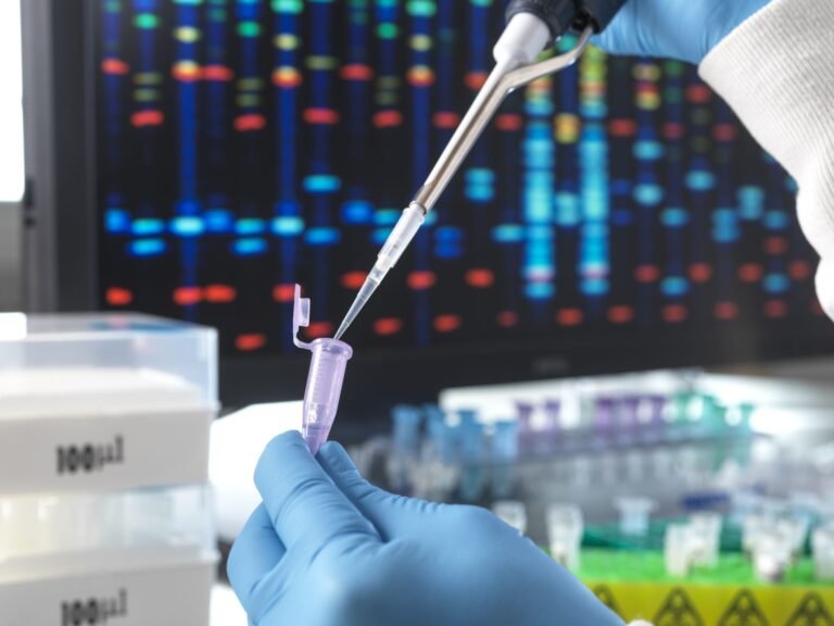 Cientistas criam testes genéticos para identificar cegueiras em cães Cientistas criam testes genéticos para identificar cegueiras em cães