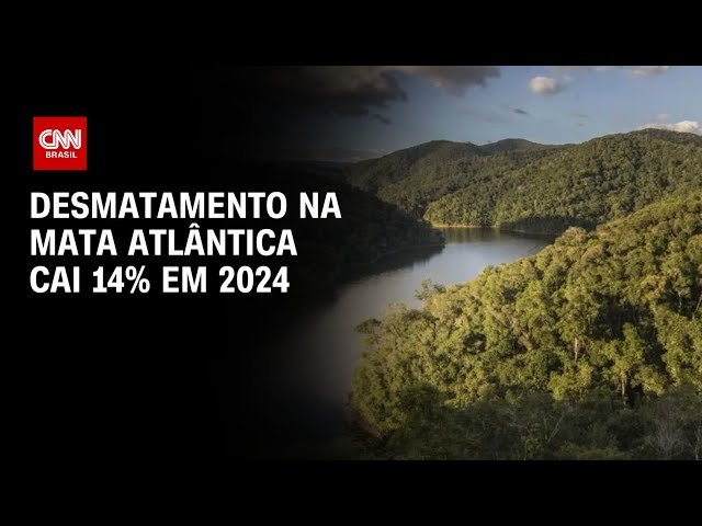 Estudo Encontra Plantas resistentes ao calor Em Morros do Espírito Santo